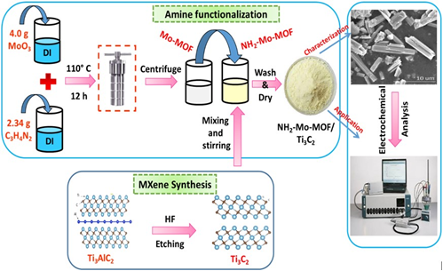 electrochemical sensor for Aflatoxin B1